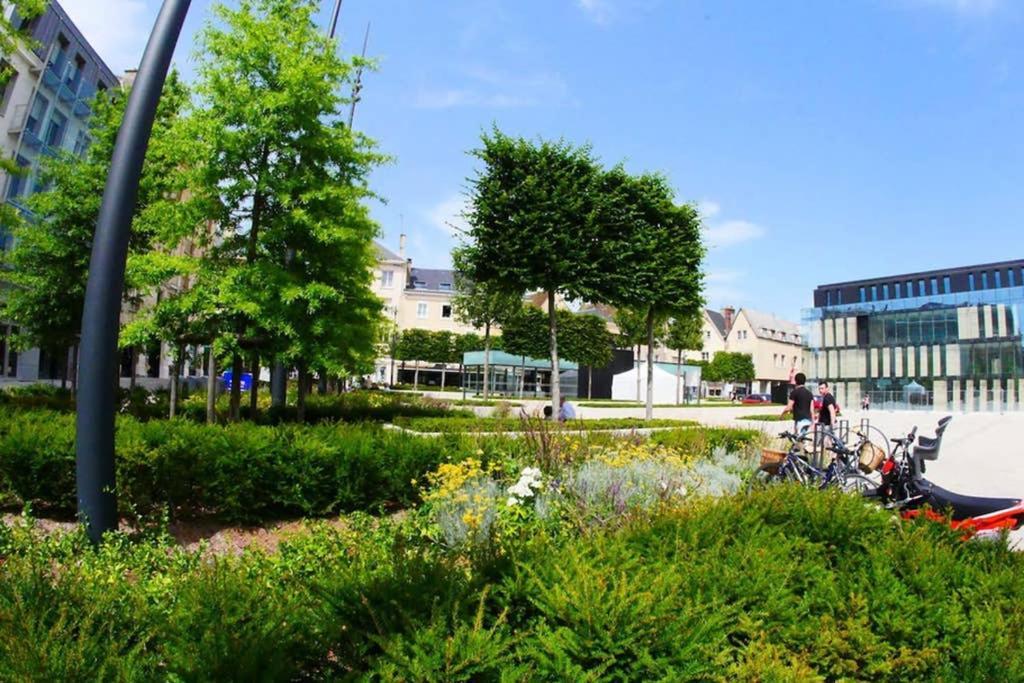 Chartres Coeur De Ville, Beau 2 Pieces Chaleureux Et Lumineux,Parking Et Wifi ! Exterior foto